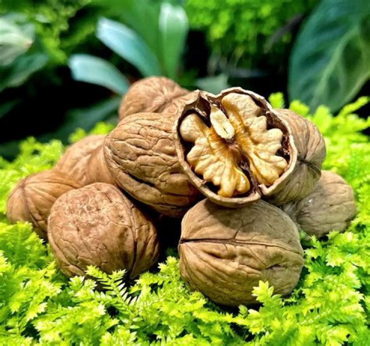Can you eat a fresh walnut