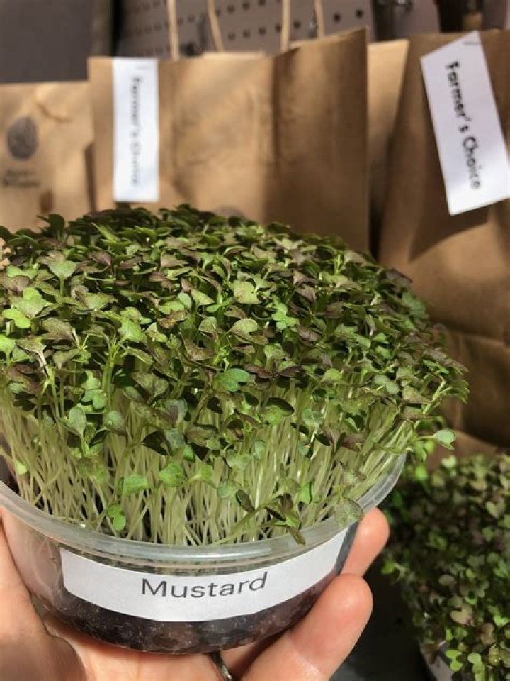 Can you eat mustard sprouts