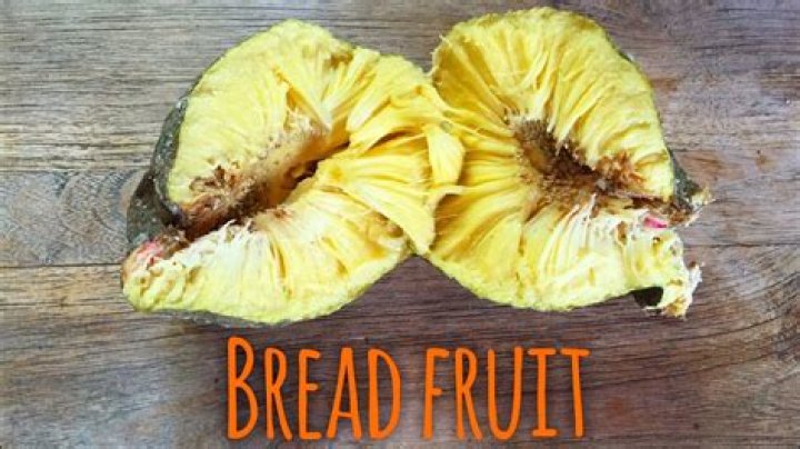 Can you eat ripe breadfruit