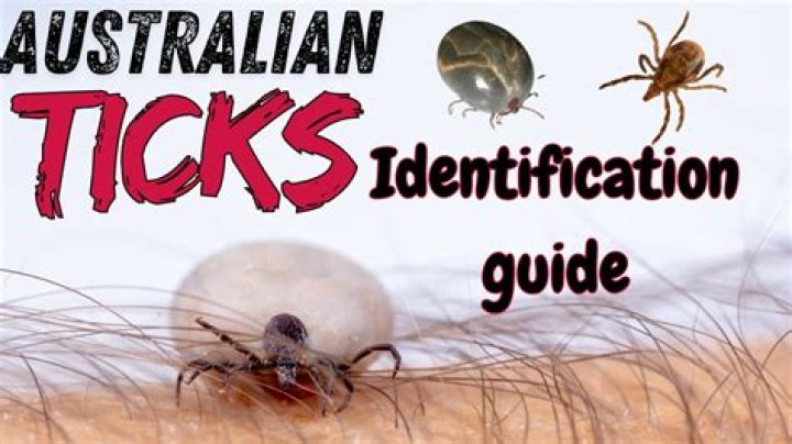Can you find ticks in trees