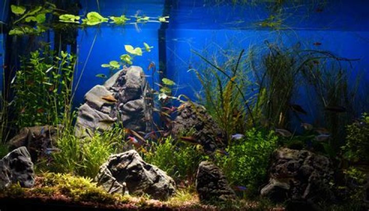 Can you fish at night in NJ