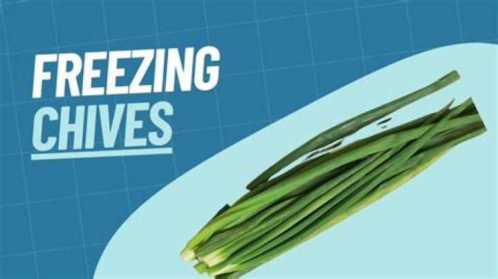 Can you freeze fresh chives