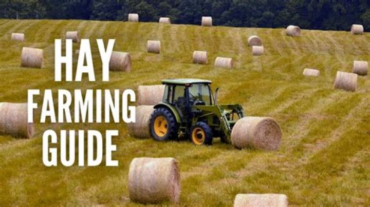 Can you grow hay in Florida