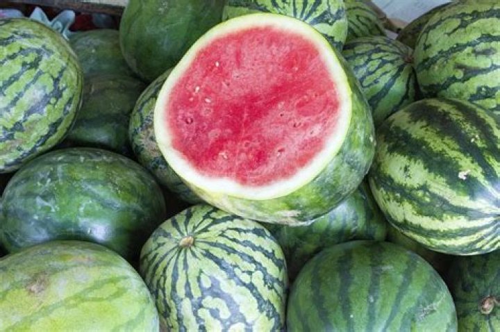 Can you grow watermelon from seedless watermelon