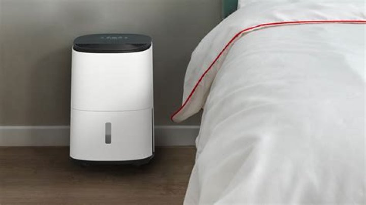 Can you hire a dehumidifier