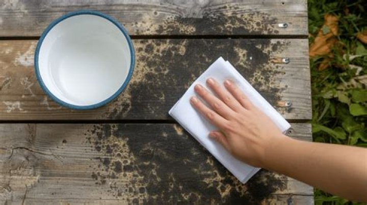 Can you just wipe off mold