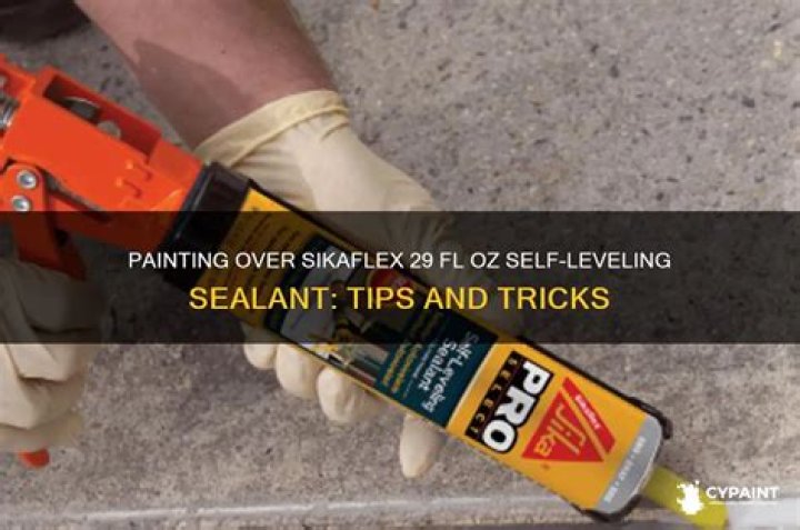 Can you paint over sikaflex