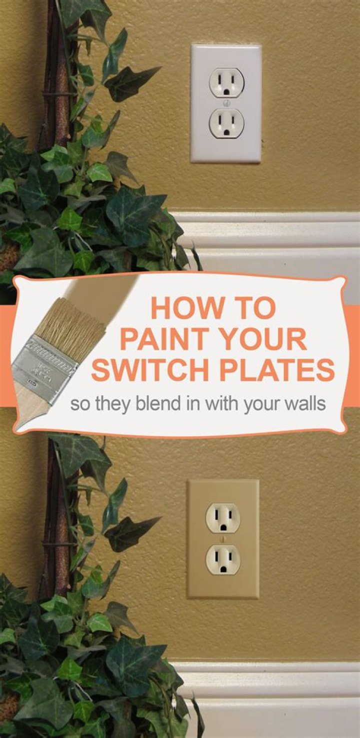 Can you paint wall switches