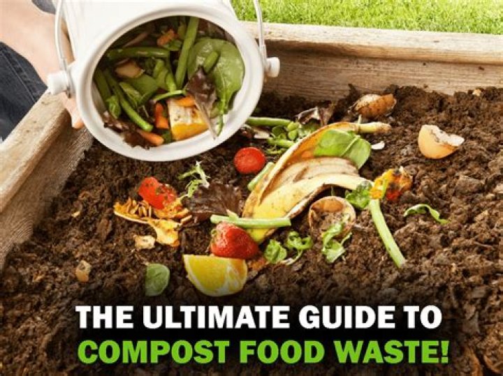 Can you put food yard waste