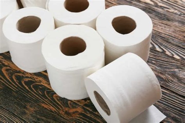Can you put toilet paper in a saniflo