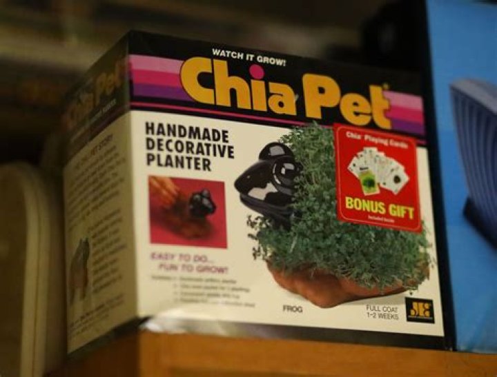 Can you still buy Chia Pets