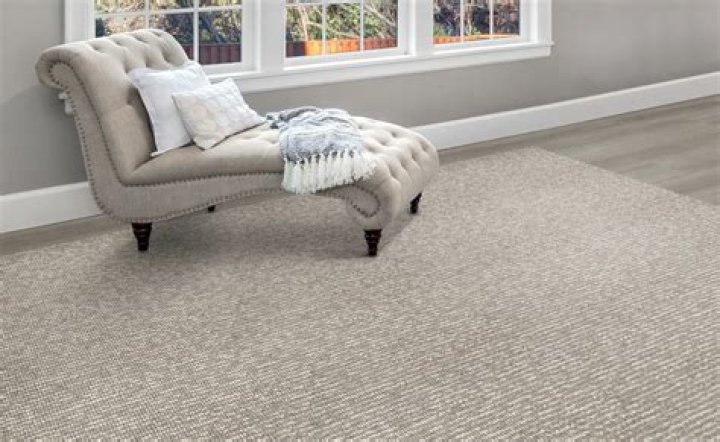 Can you use Carpet Fresh on sofa