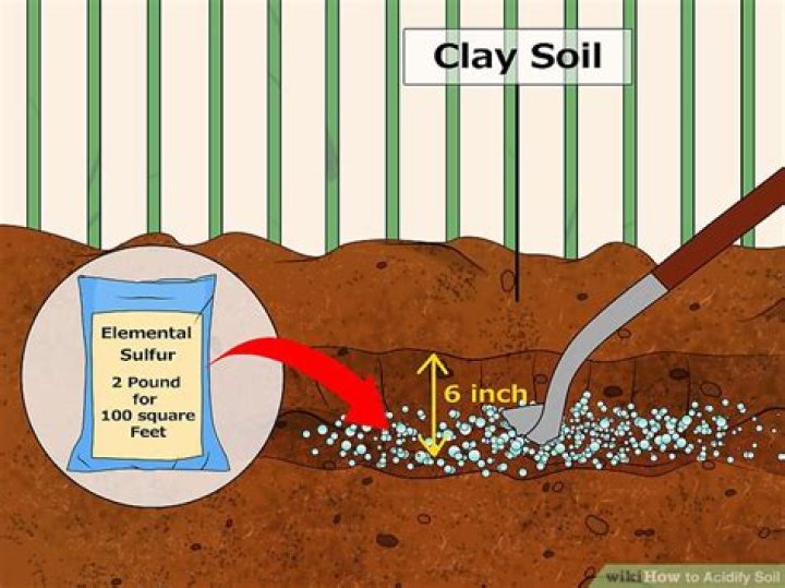 Can you use pH down in soil