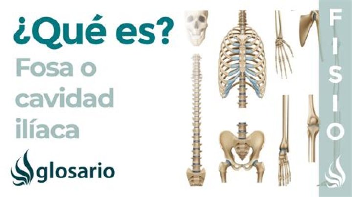 ¿Cuál es la fosa iliaca