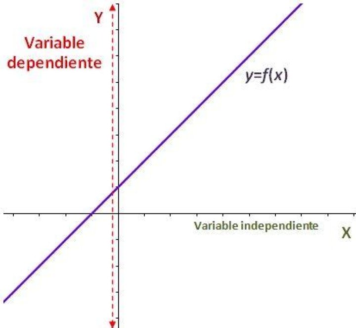 ¿Cuál es la variable independiente y dependiente de una función
