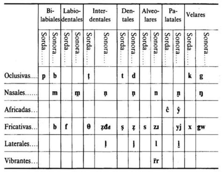 ¿Cuáles son los 25 fonemas