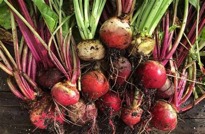 Do beets need to be organic