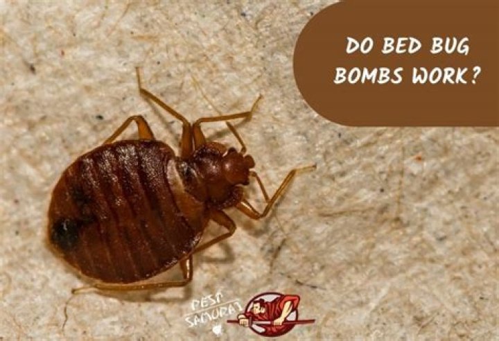 Do bug bombs work on ticks