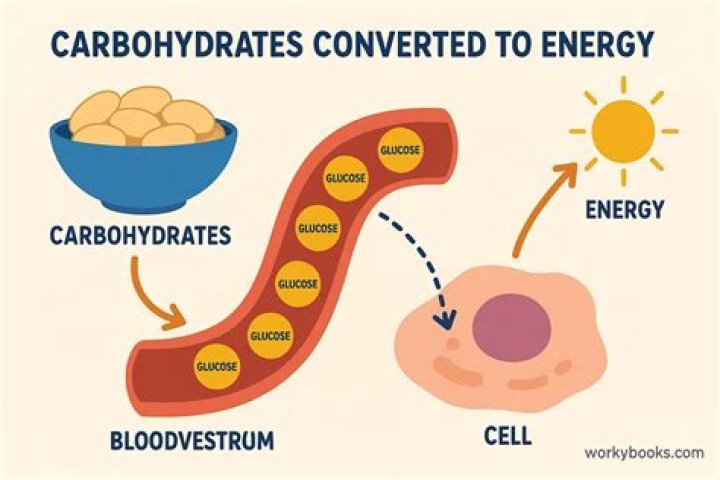 Do carbs turn into calories