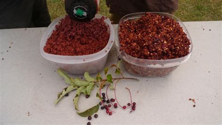 Do Chokecherries have a pit