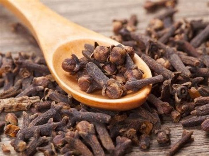 Do cloves keep mice away
