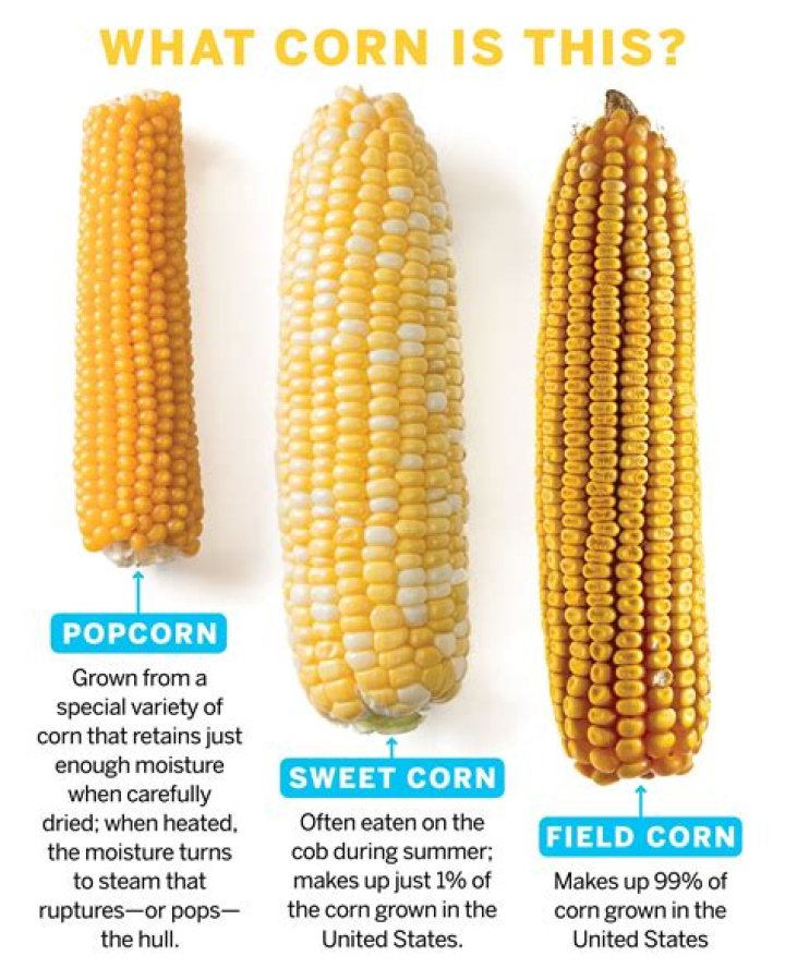 Do corn kernels have gluten