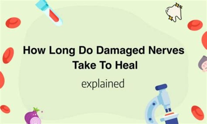 Do damaged nerves ever heal