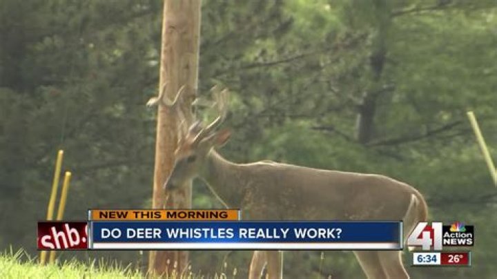 Do deer alert whistles work