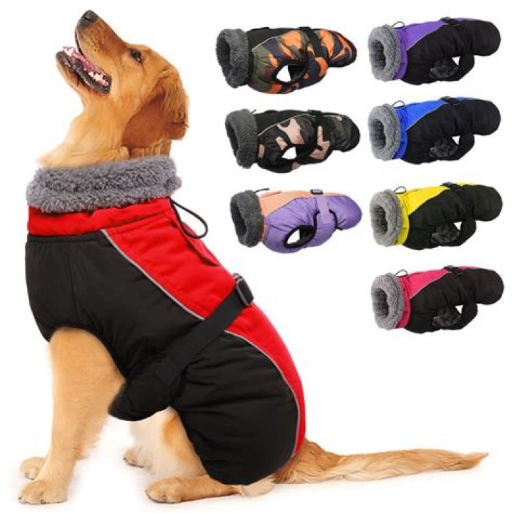 Do dog coats keep them warm
