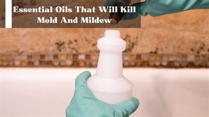 Do essential oils kill mold spores