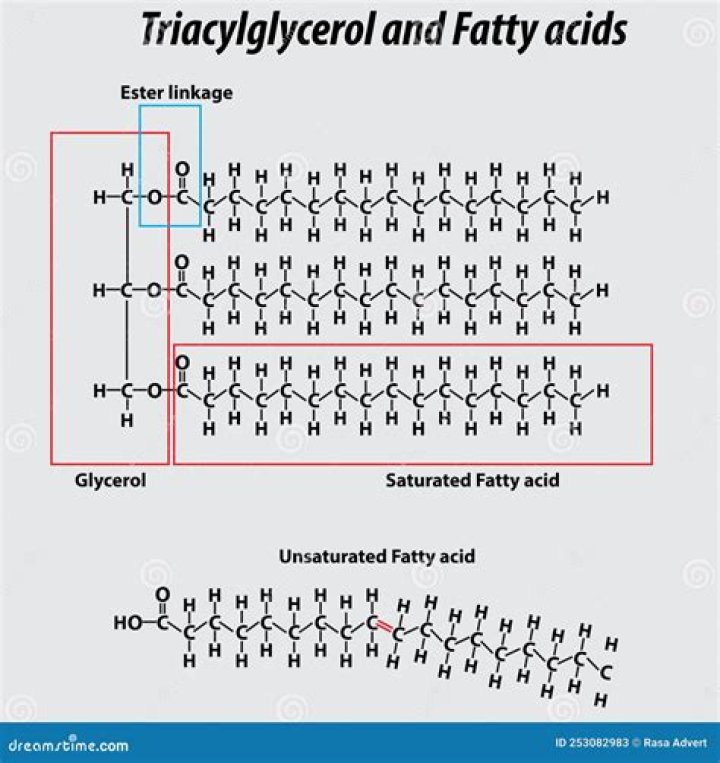 Do fatty acids decrease pH
