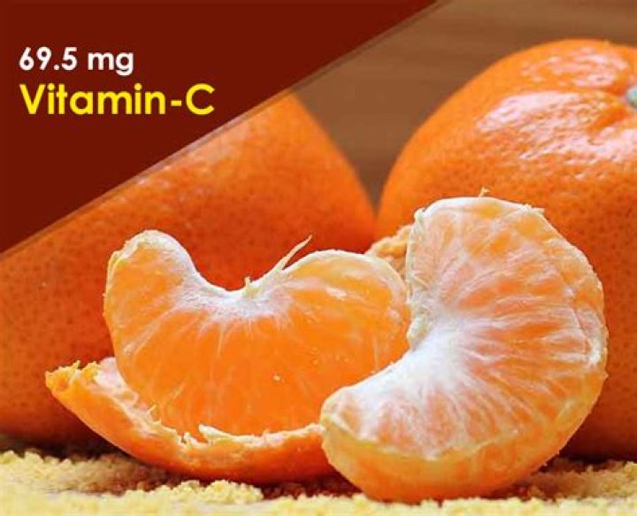 Do Fleas hate oranges