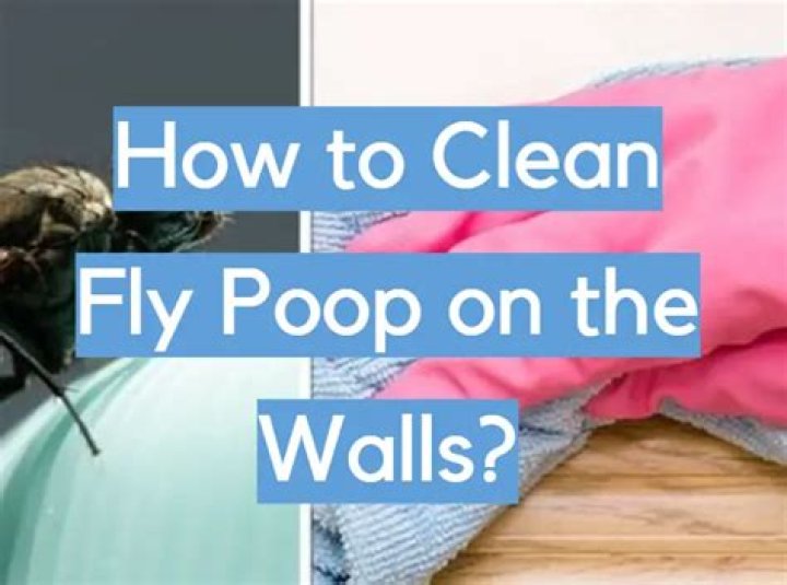 Do flies poop on the walls