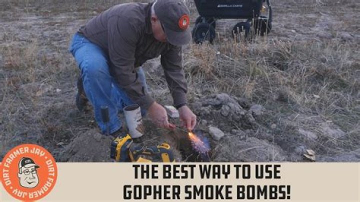 Do Gopher smoke bombs work