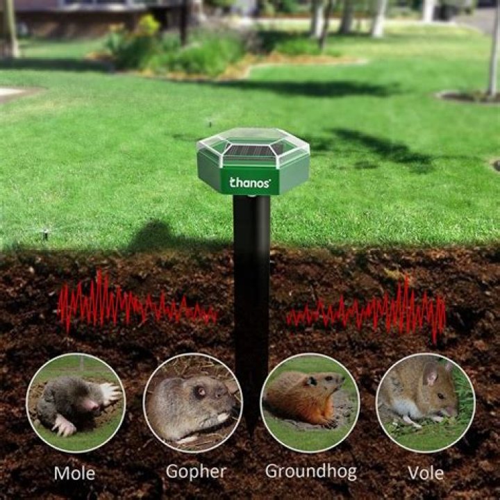 Do Gopher Sonic Spikes work