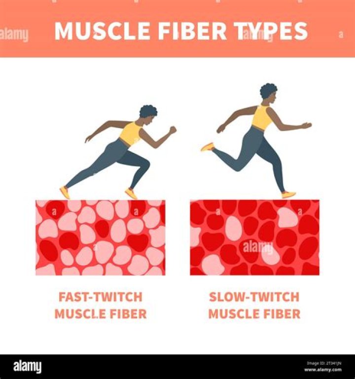Do I have slow or fast twitch muscle fibers