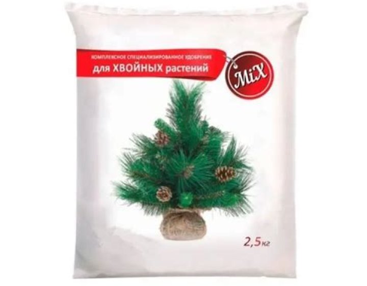 Do I need to feed conifers