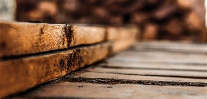 Do I need to replace rotted wood