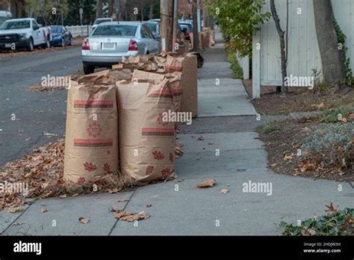 Do leaves have to be bagged