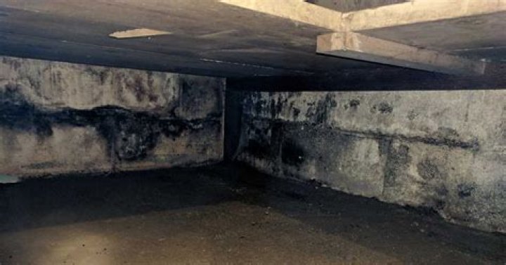 Do most basements have mold
