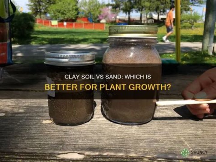 Do plants grow better in clay pots