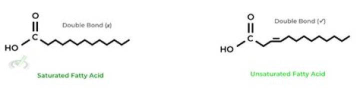 Do saturated fatty acids have double bonds
