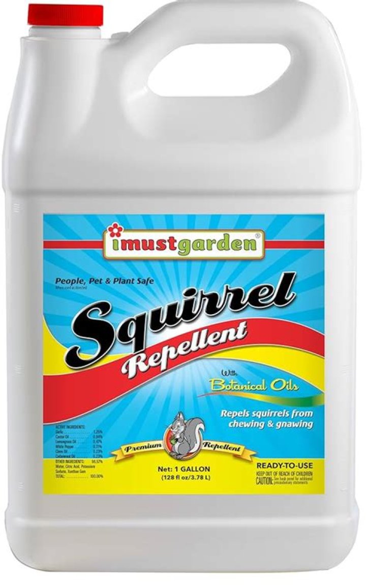 Do squirrel repellents work