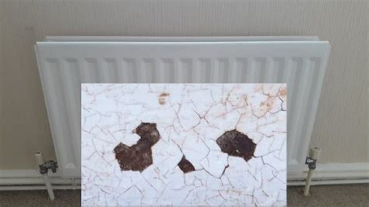 Do stainless steel radiators rust