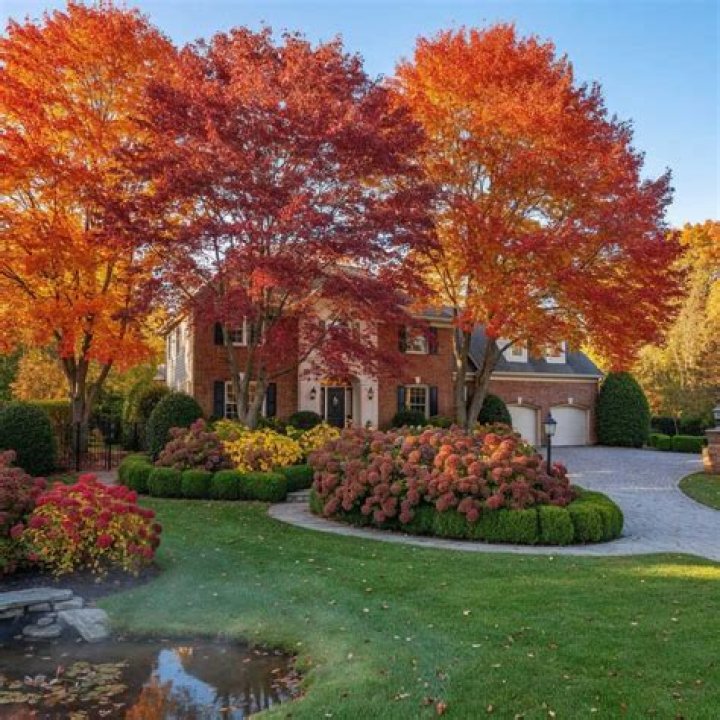 Do trees grow in the fall