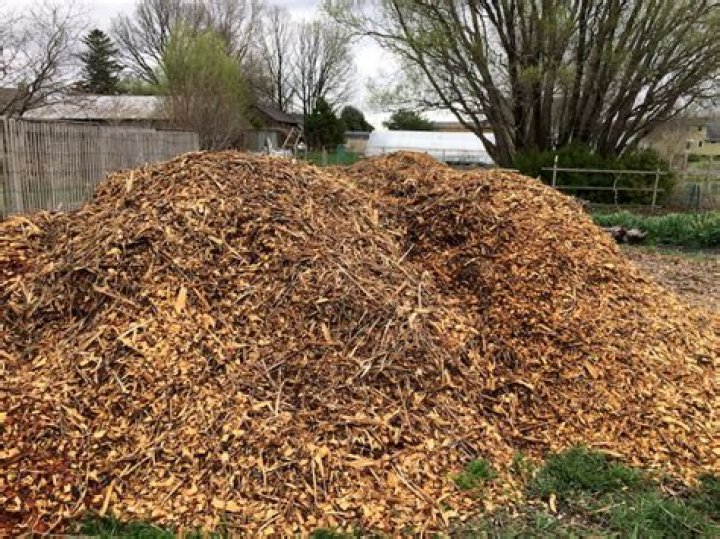 Do wood chips soak up water