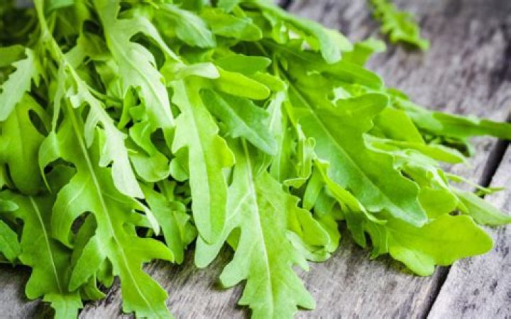 Do you need to thin arugula