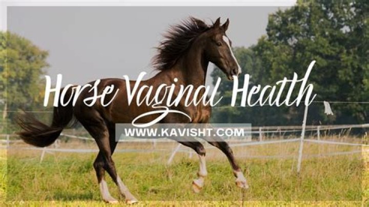 Does a female horse squirt