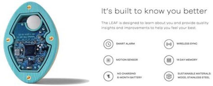 Does Bellabeat count steps