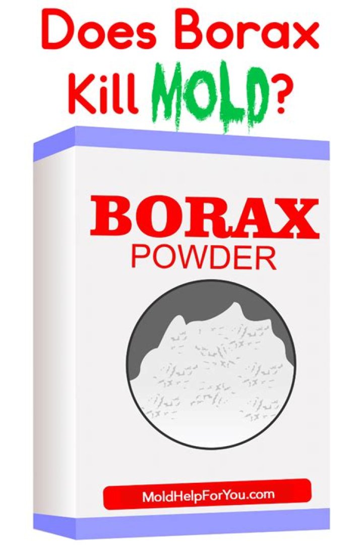Does borax kill mold spores
